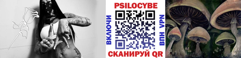 Псилоцибиновые грибы Psilocybine cubensis  закладка  Катайск 